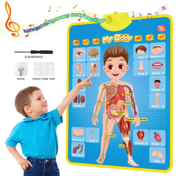 Tableau mural électronique : Apprenez les chiffres, les lettres, les fruits et légumes en anglais – Image 5